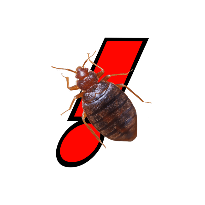 Bed Bug Services Carlsbad