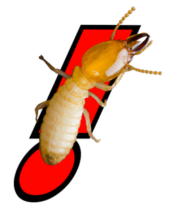 Carlsbad Termite Service